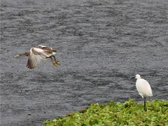 -重庆彩云湖湿地公园