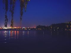 -西湖外事游船(花港观鱼码头)