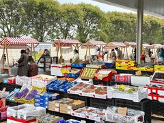 -华威西营里农产品批发市场