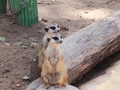 -常州淹城野生动物世界
