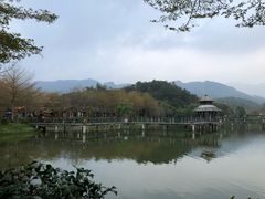 -田野绿世界