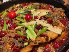 -老板恋上鱼(恒隆广场店)