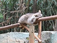 -杭州野生动物世界