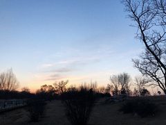-潇河湿地公园