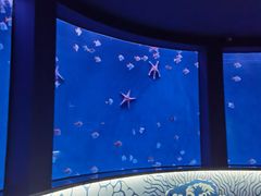 -沈阳海洋探索中心