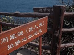 -杨梅坑
