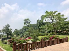 -火炉山森林公园