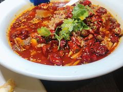 毛血旺-辛香汇(飞洲店)