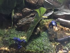 -暹罗海洋世界