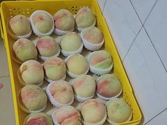 -老袁家蜜桃农场·阳山水蜜桃