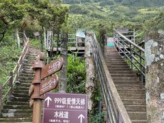 -金子山原生态旅游风景区