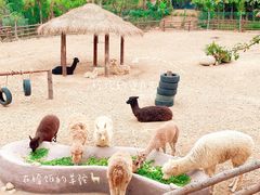 -泉州海丝野生动物世界