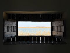 -盐城丹顶鹤湿地生态旅游区