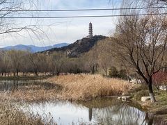 -玉泉公园
