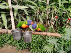 -南宫五洲植物乐园