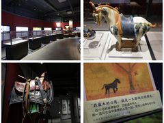 -中国马镇舞马世界主题乐园