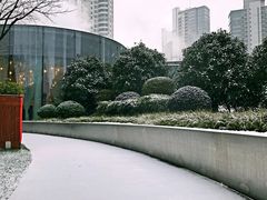 -花园5號餐厅