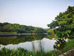 -东莞植物园