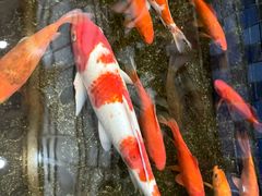 -上尚汤汤泉汗蒸(空港复悦里店)