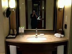 -宁波东港喜来登酒店