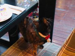 -EATALIA意塔利意式餐厅(鼓楼店)