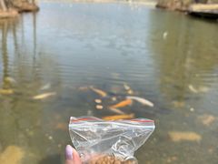 -北京中信金陵酒店