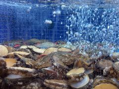 -香山湖渔家大院