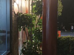 -秦扬居特色菜馆(上王村)