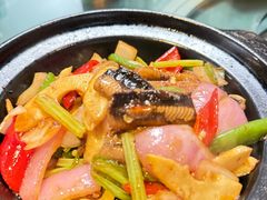 黄鳝煲-金龙·打边炉(南京西路店)