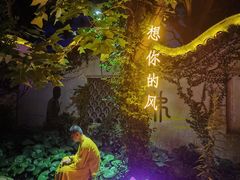 -印象普陀