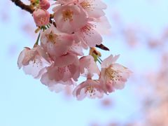 -静安雕塑公园