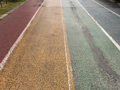 -贡湖湾湿地公园