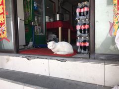 -原怡园面馆(拙政园店)