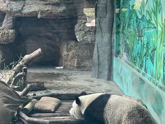 -石家庄市动物园