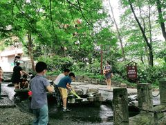 -成都市活水公园
