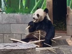 -南昌动物园