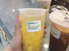 -TPLUS茶家(浦电路店)