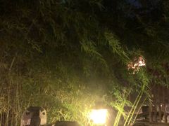 -中家鑫园温泉酒店鑫悦汤泉