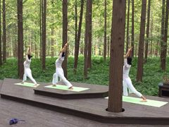 -黄海国家森林公园