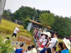 -洪湖家庭农场·团建·露营·会议