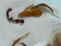 -新湖烧鸡(光明店)