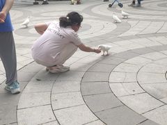 -南宫温泉水世界