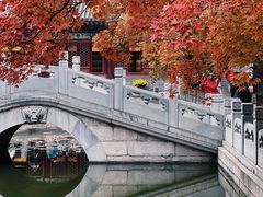 -香山公园