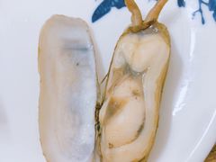 -杨记海鲜楼(三门黑金冠店)