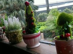android_upload_pic-火车头法国西餐厅