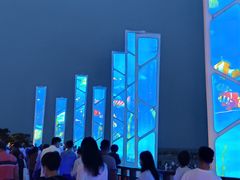 -老虎石海上公园