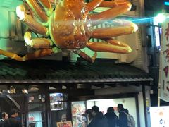 -蟹道乐(道顿堀本店)