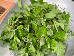 野菜还活着-翕庐小苑