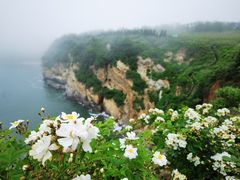 -大连金石滩滨海国家地质公园