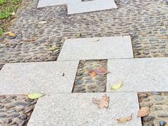 -南京古林公园